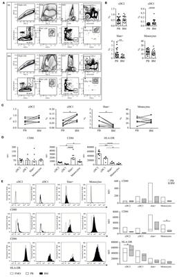 Human Bone Marrow-Derived Myeloid Dendritic Cells Show an Immature Transcriptional and Functional Profile Compared to Their Peripheral Blood Counterparts and Separate from Slan+ Non-Classical Monocytes